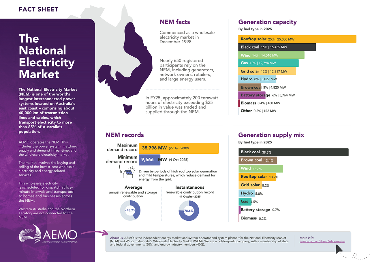 NEM fact sheet