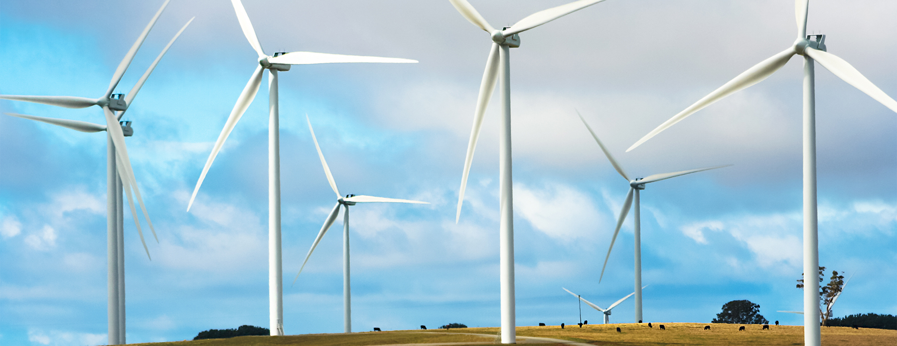 Wind turbines on a hill
